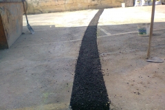 12754880_1758157457746930_1187717455_o