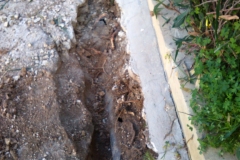 12755033_1758153447747331_842747229_o