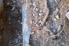 12755431_1758153571080652_99677182_o