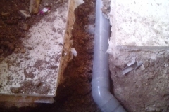 12596928_1758154904413852_2106270863_o