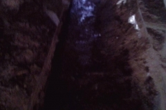 12722202_1758154857747190_1213048439_o