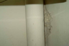 12736256_1758157981080211_86431588_n