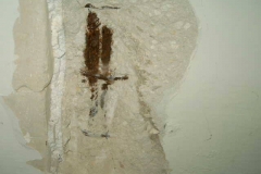 12736334_1758157951080214_912700978_n