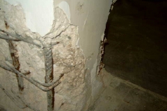 12746206_1758157997746876_508648323_n