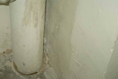 12746561_1758158074413535_363528745_n